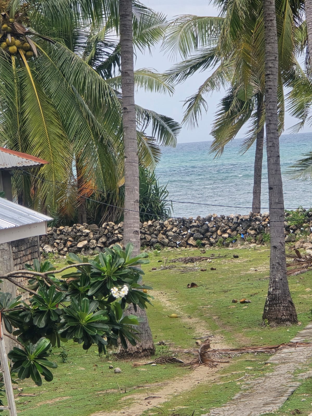 Resort view